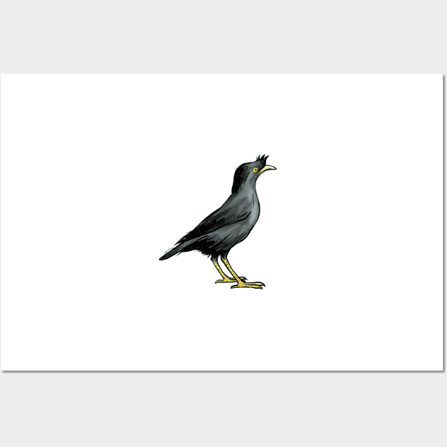 Crested Myna Wall Art by adolfux